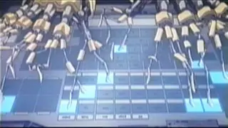 Virus in the Shell